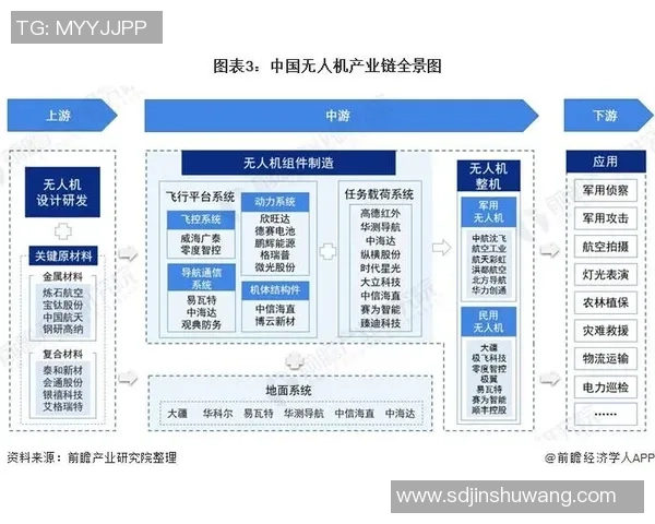 上海排球队的速度魅力全景解析与战术探讨